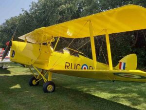 Tiger Moth